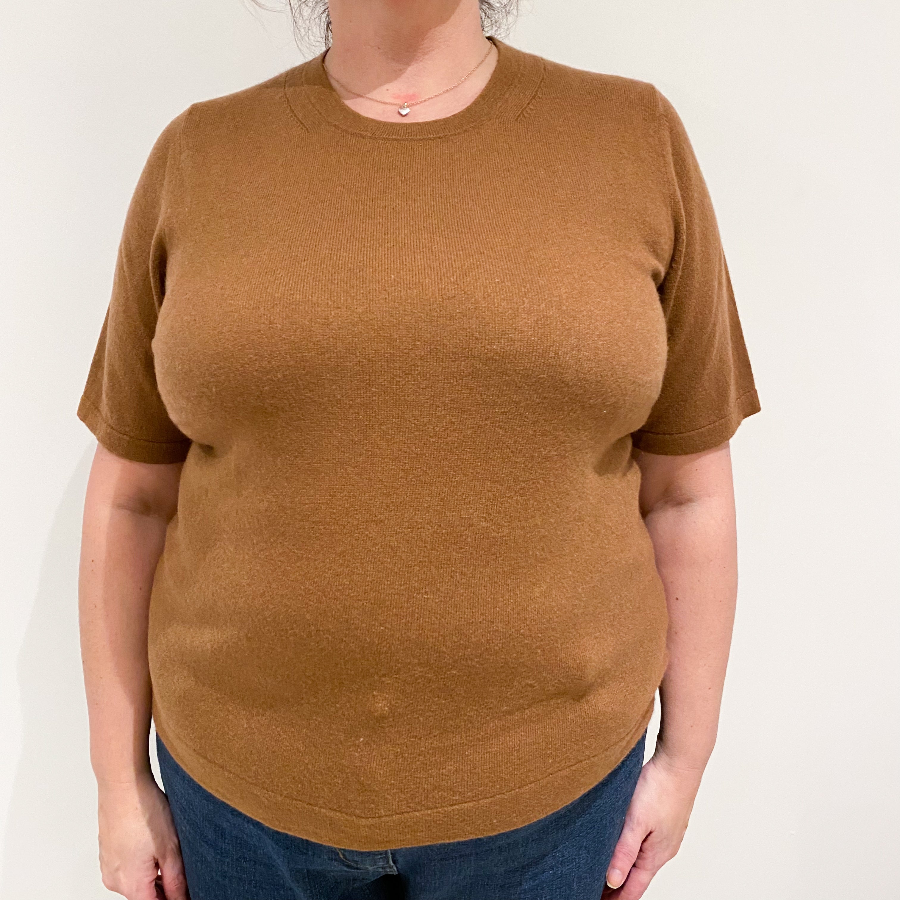 Cinnamon Brown Cashmere Short Sleeve Crew Neck Jumper Extra Large