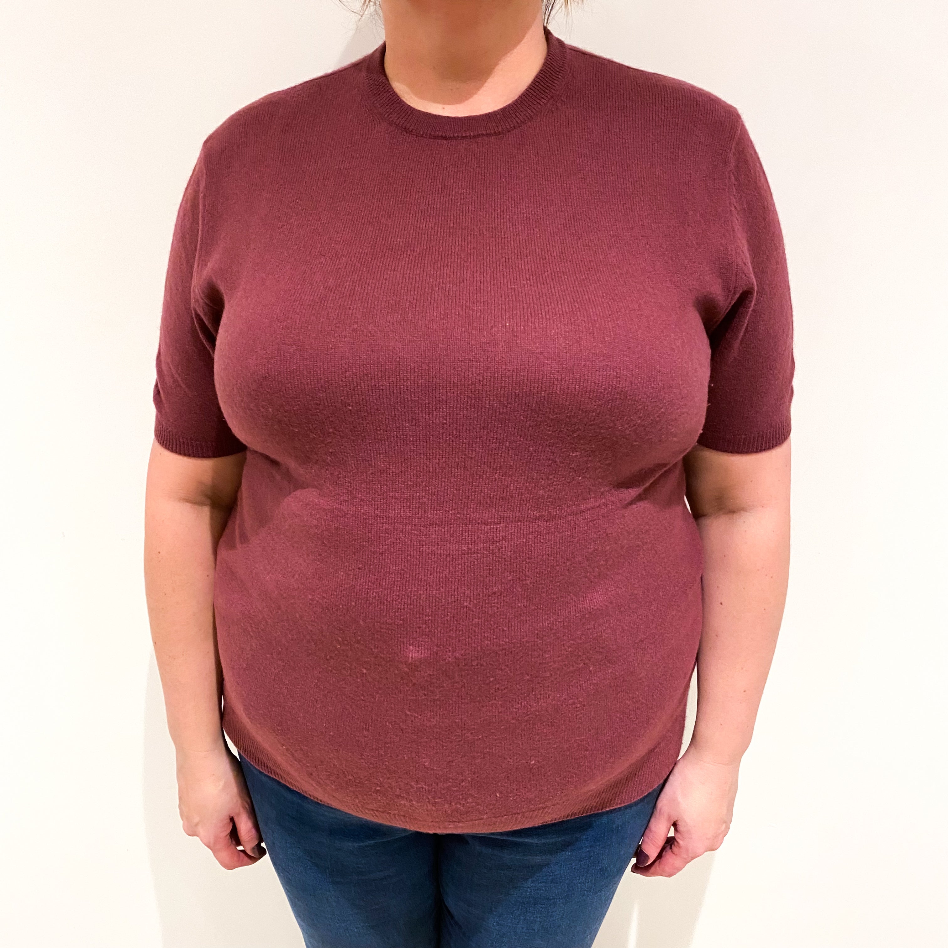 Heather Purple Cashmere Short Sleeved Crew Neck Jumper Extra Large