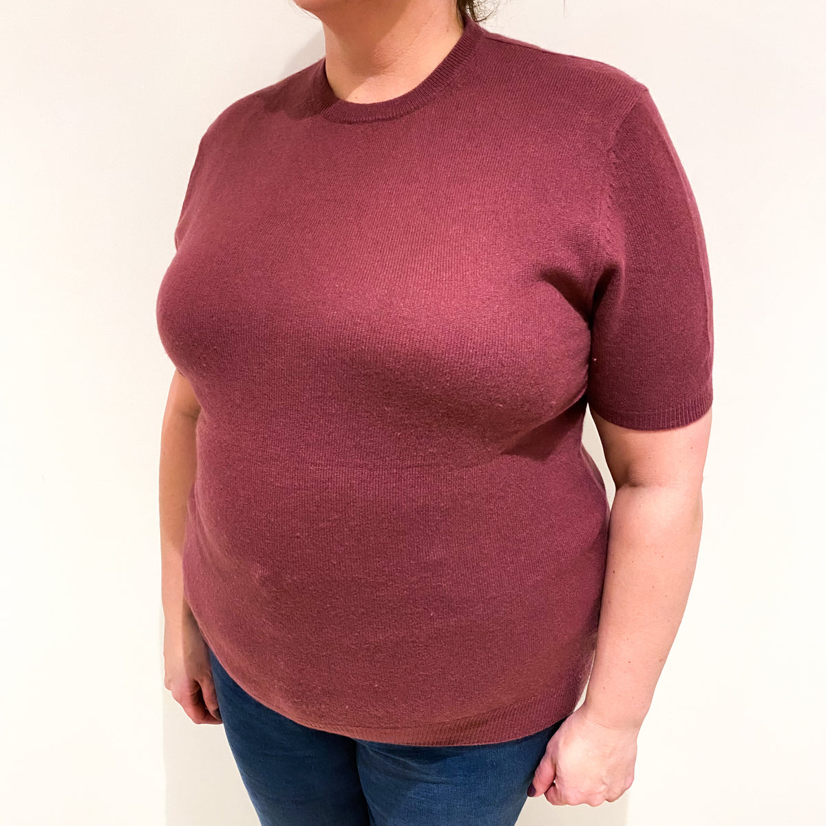 Heather Purple Cashmere Short Sleeved Crew Neck Jumper Extra Large