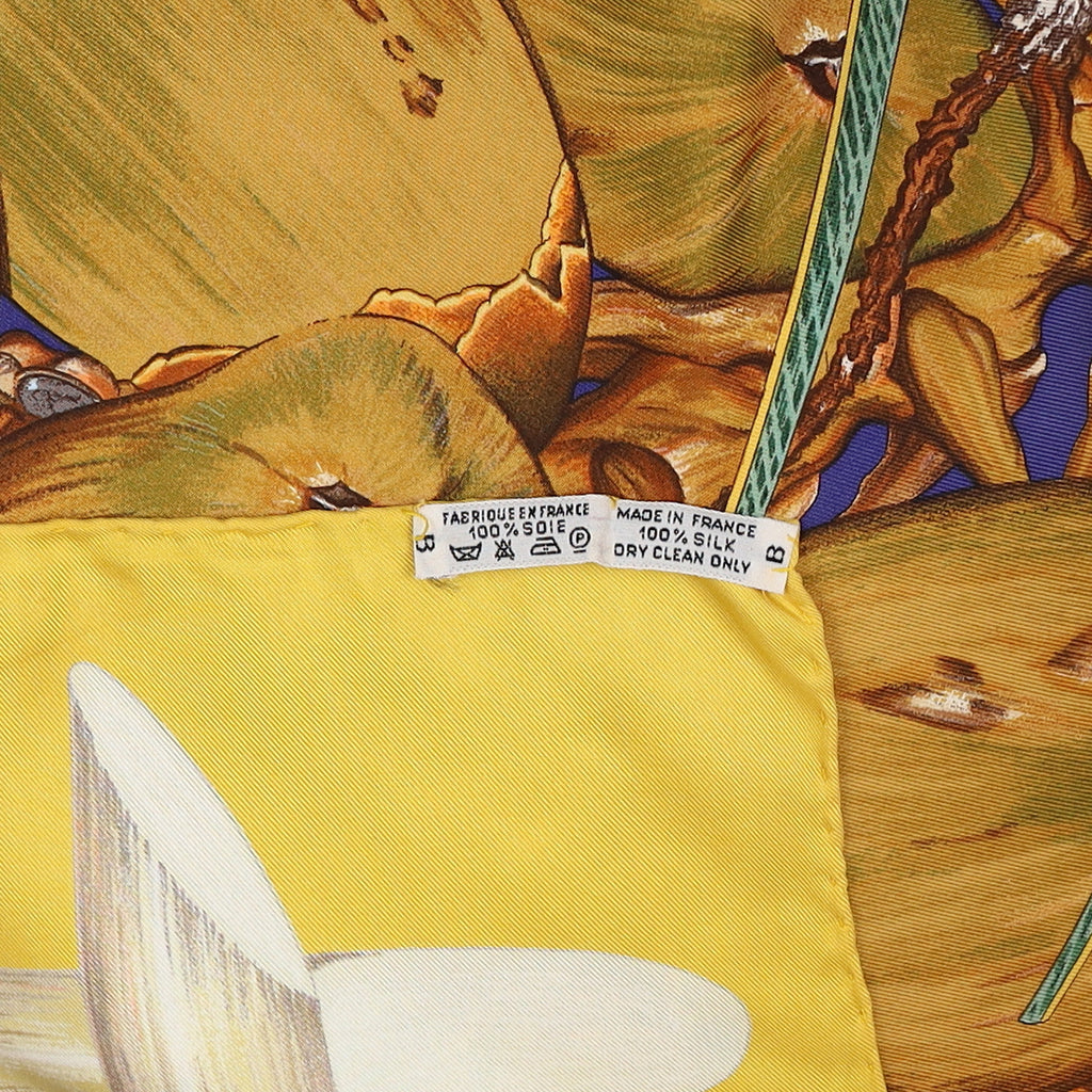 Hermès Jardin Créole Silk Scarf