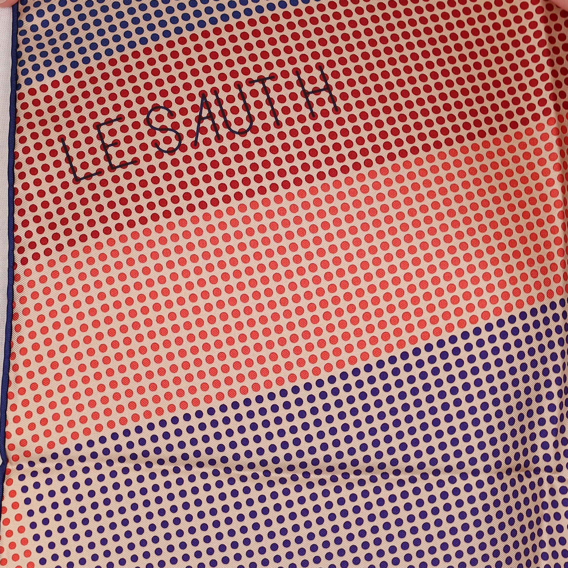 Brand New Boxed Hermès Le Sauth Silk Scarf Quite Rare