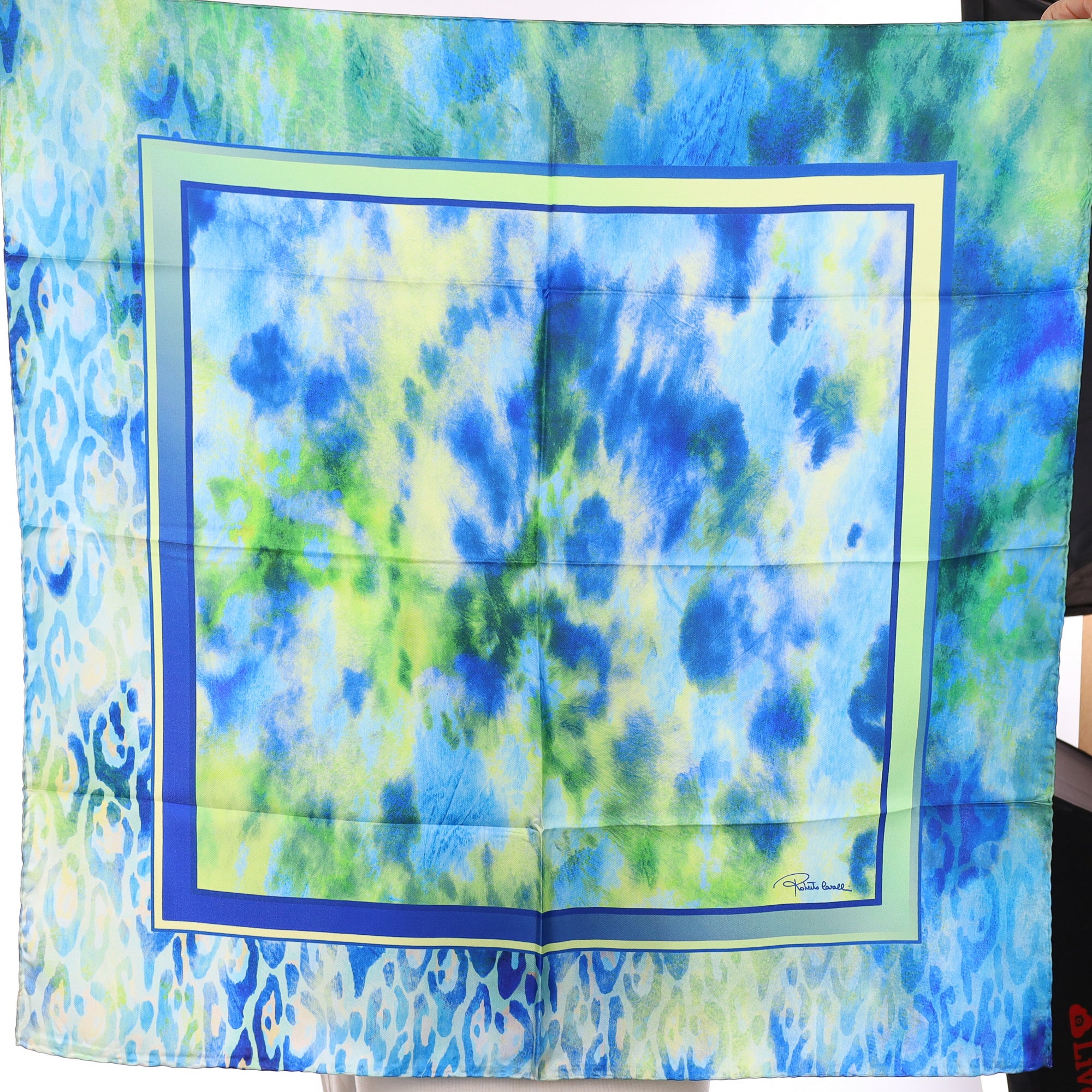Roberto Cavalli Green and Blue Abstract Silk Scarf