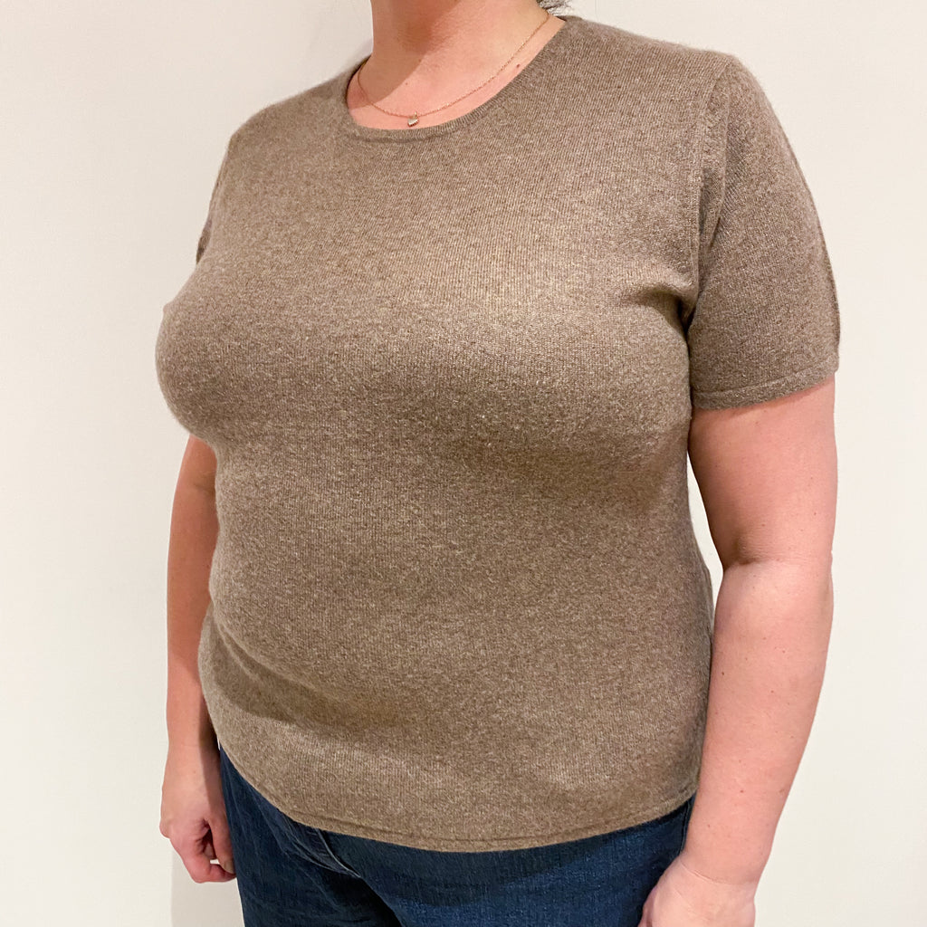 Mocha Brown Short Sleeved Cashmere Crew Neck Jumper Extra Large