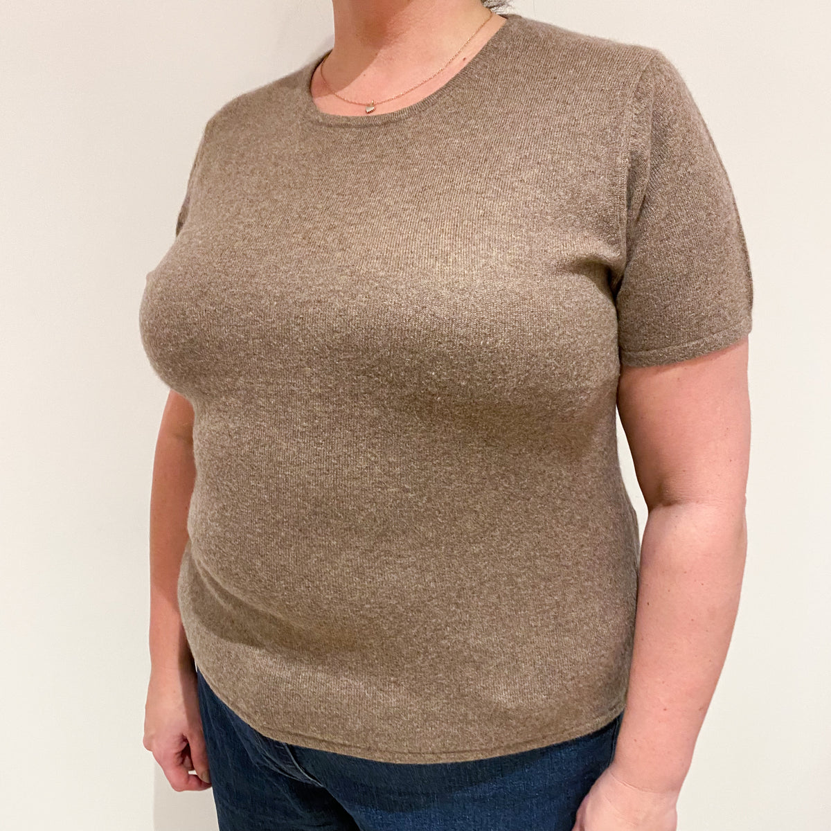 Mocha Brown Short Sleeved Cashmere Crew Neck Jumper Extra Large