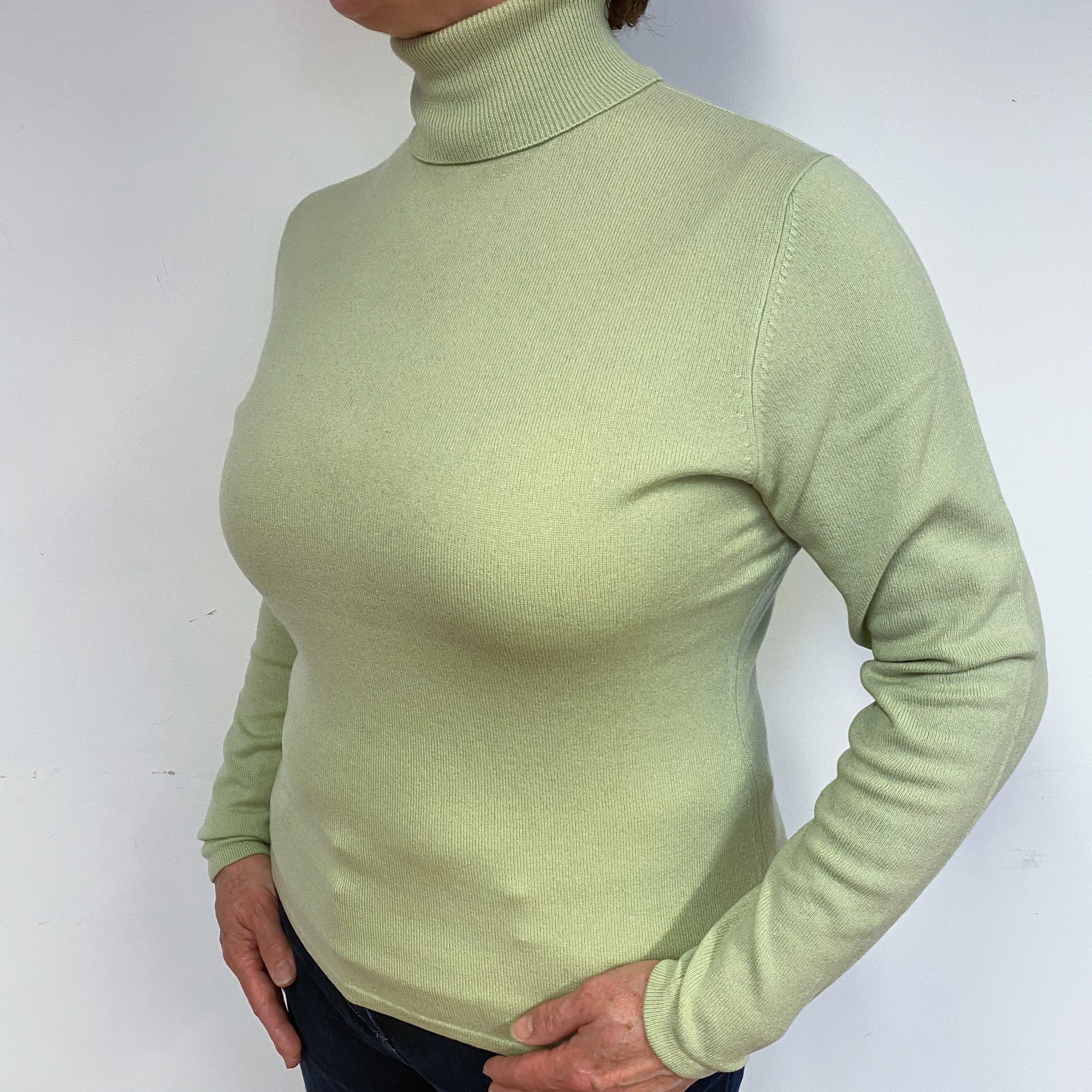 Chicory Green Cashmere Polo Neck Jumper Large