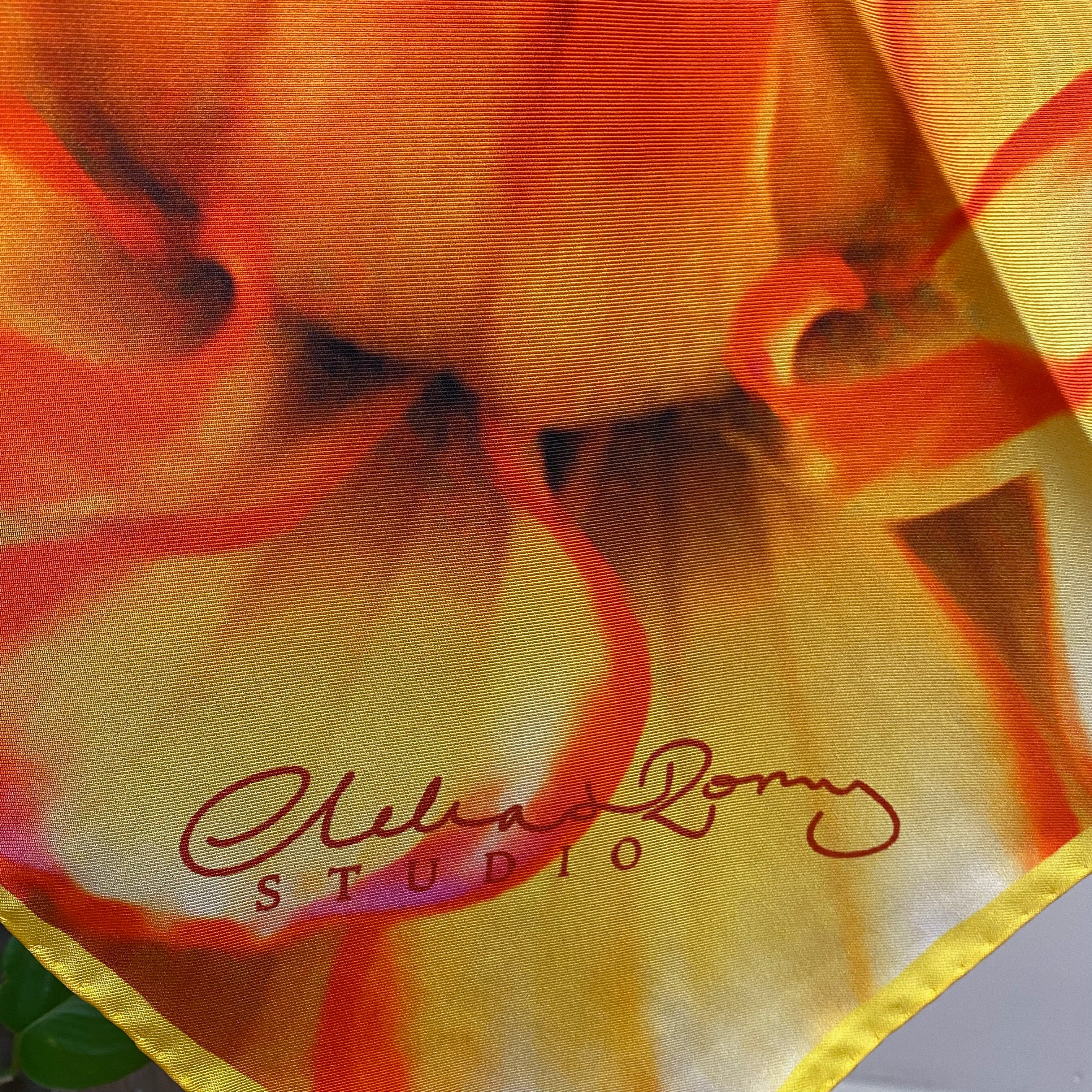 Brand New Clelia & Romy Floral Silk Scarf